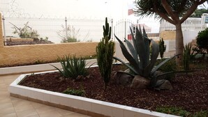 Un jardin avec différentes sortes de plantes et une clôture blanche en arrière-plan.