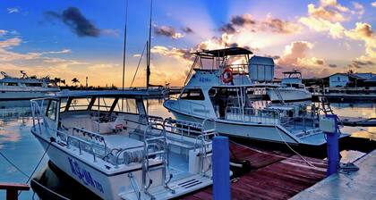 Harbour Club Villas & Marina