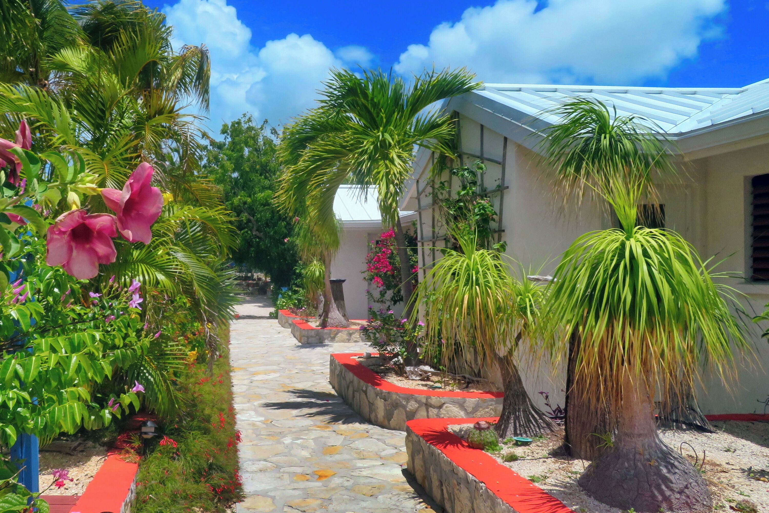 A pathway leading to a building surrounded by lush greenery and flowering plants.