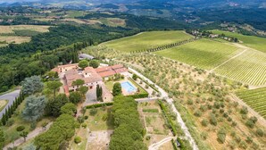 Une villa avec piscine, entourée de vignes et d’oliviers.