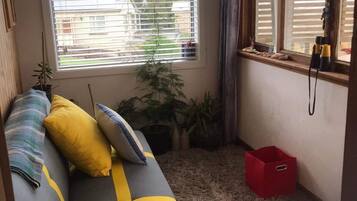 Smart TV, fireplace, stereo