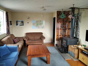 Televisie, een open haard, videospelletjes en een dvd-speler