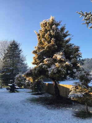 Schneebedeckte Landschaft mit einer großen Nadelbaum im Vordergrund, einem Holzzaun und blauem Himmel.