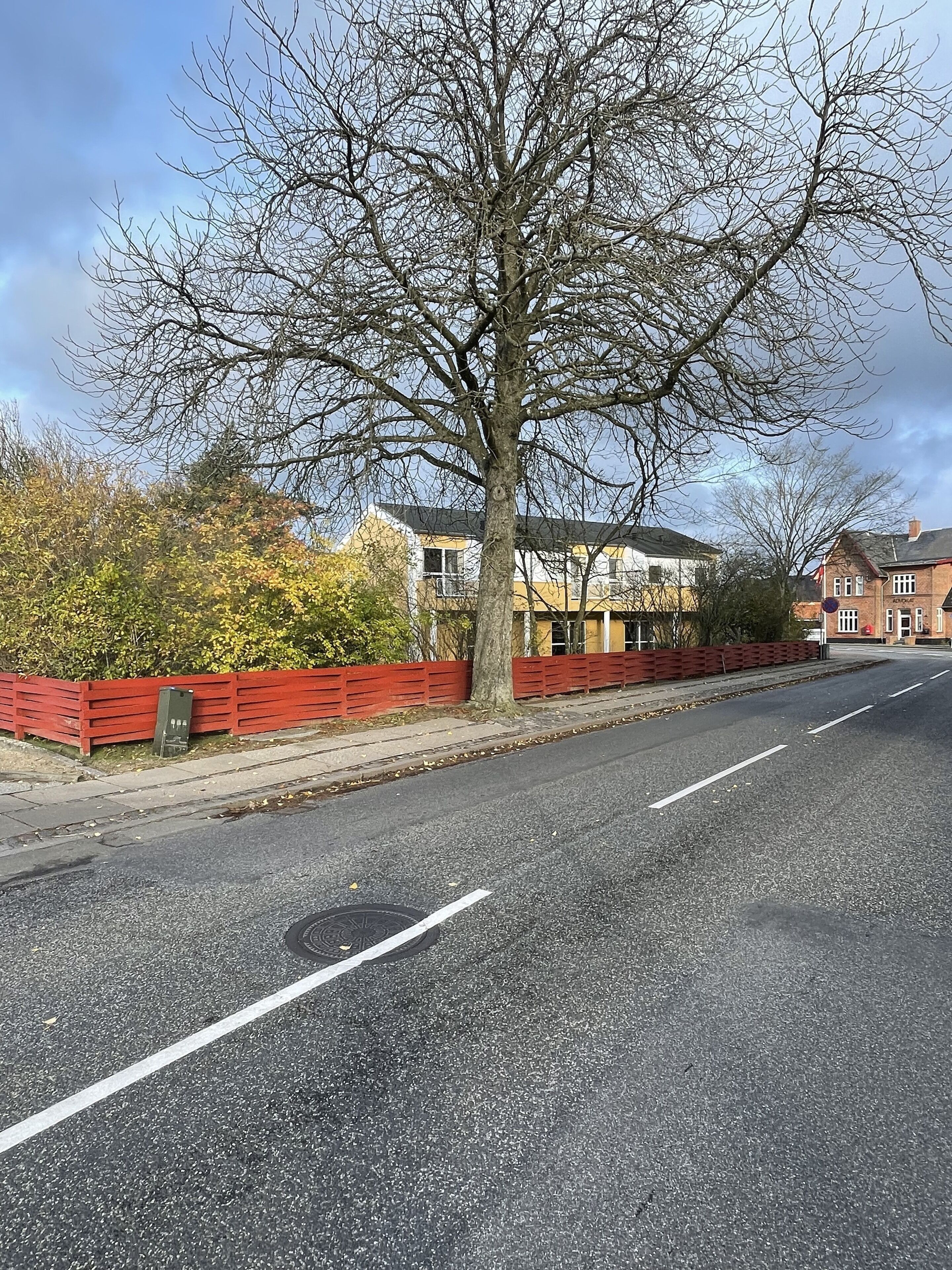 A tree-lined street with a red fence, a clear road, and residential buildings.