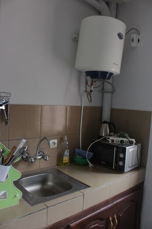 Großer Kühlschrank, Mikrowelle, Herdplatte