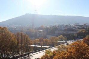 Aerial view - Apartment on Marjanishvili Str. (Tbilisi)