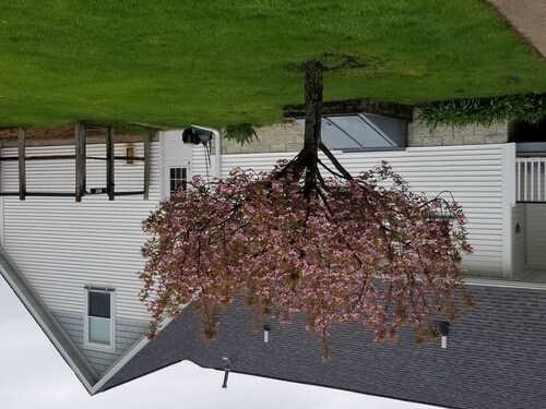 The loft, efficiency suite offering privacy and comfort.