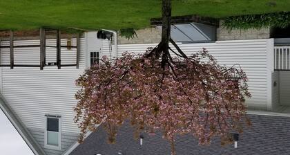 The loft, efficiency suite offering privacy and comfort.