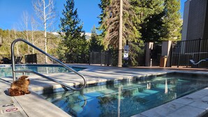 A pool with a metal ladder and a 'No Diving' sign, surrounded by trees and a fence. - Upscale Indian Themed PENTHOUSE On Ski Access Level! Vaulted ceiling. High rated (Winter Park)
