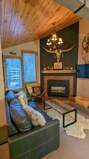 Een smart-tv, een open haard, videogames en een dvd-speler