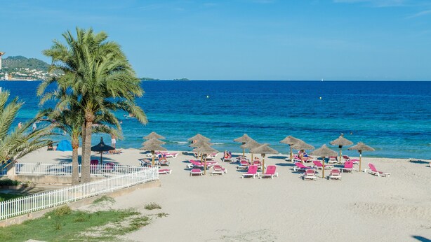 Une plage bordée de palmiers, avec des chaises de plage et des parasols.
