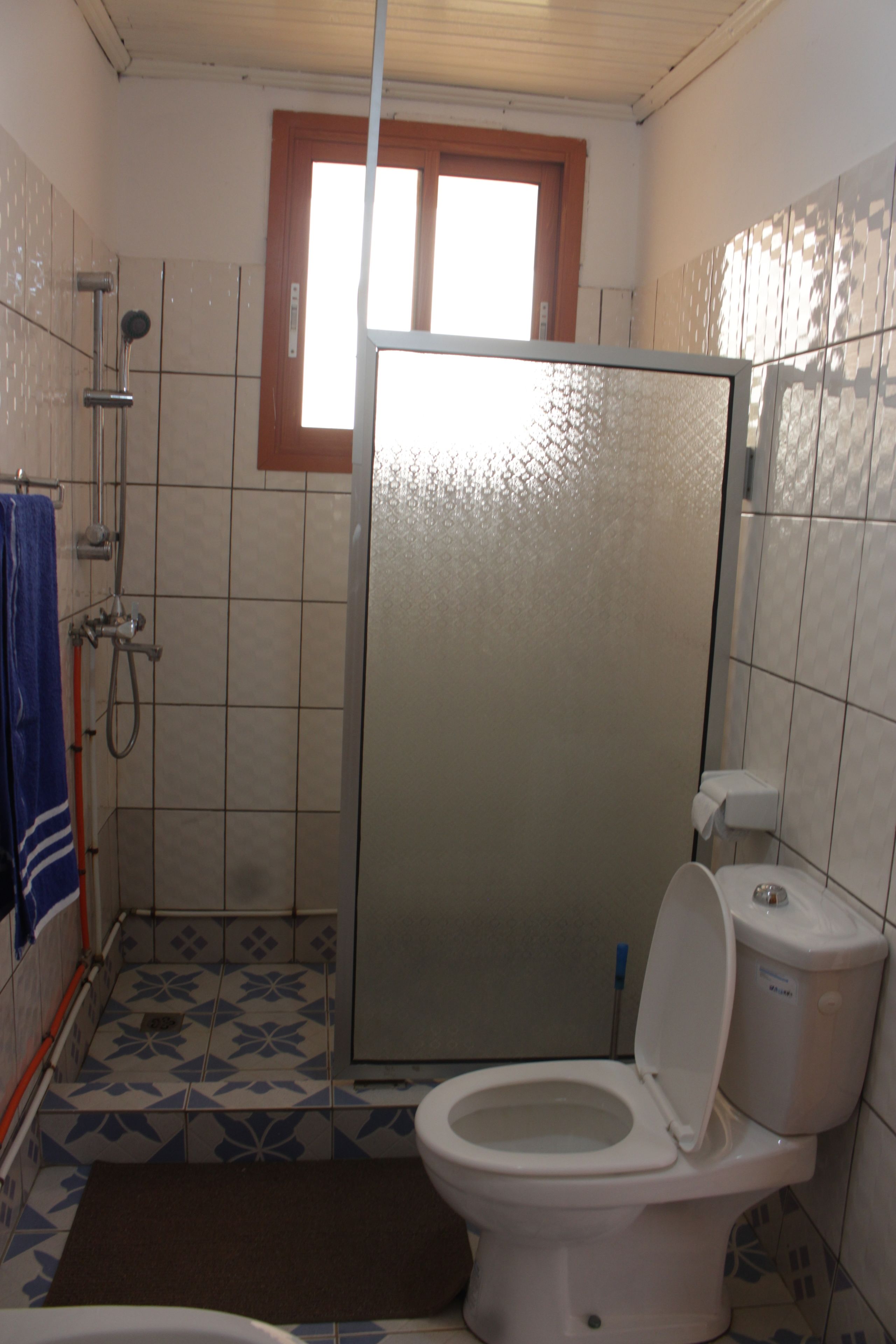 A bathroom with a toilet, shower, and a window.