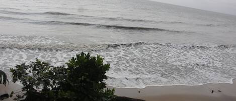 Una playa con olas, orilla arenosa y algo de vegetación.