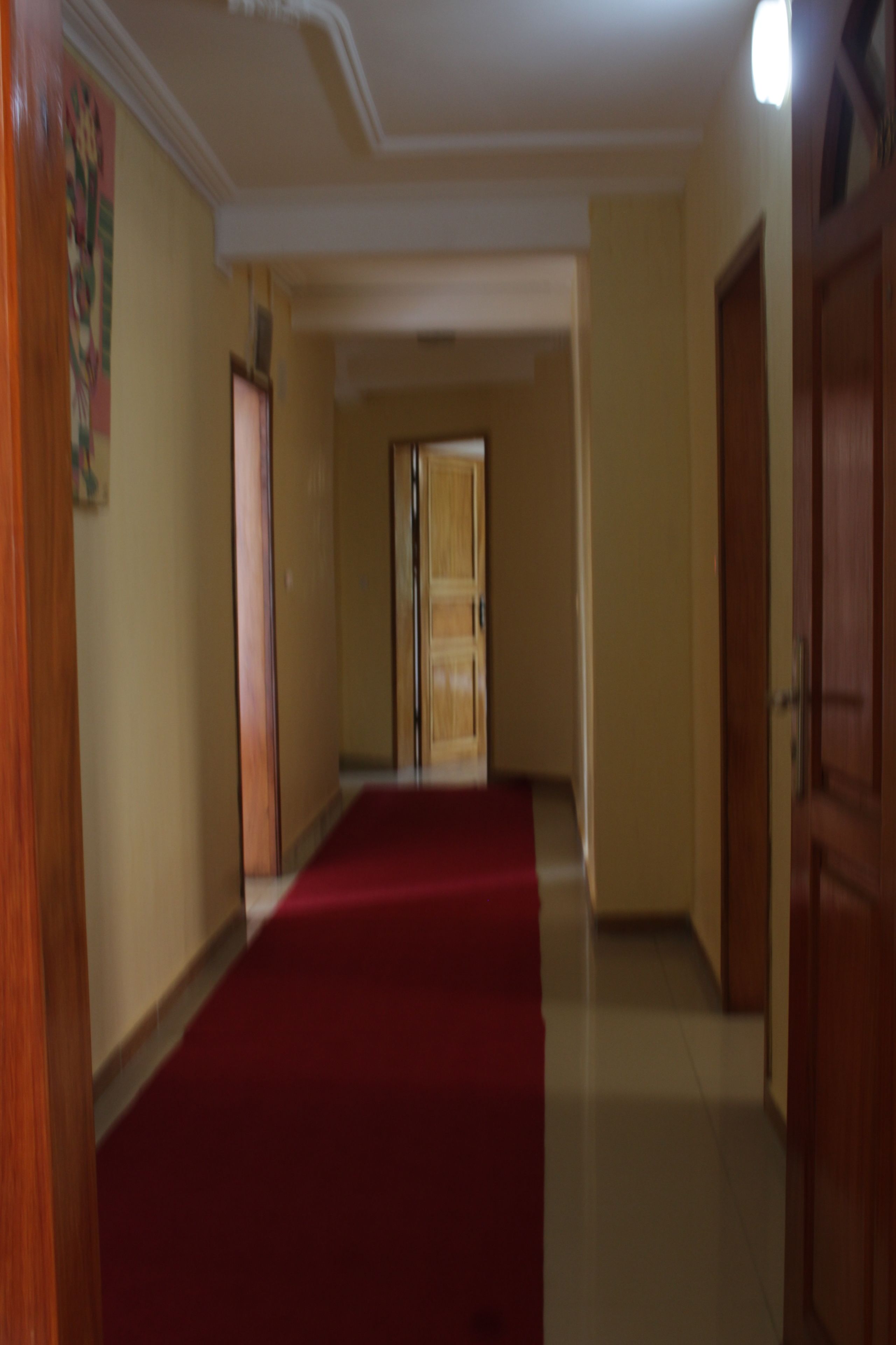 A hallway with a red carpet leading to a door at the end.