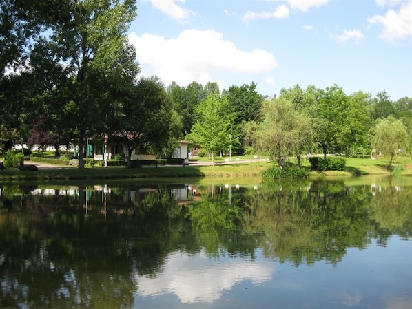 A tranquil park with a pond, trees, and a small building.