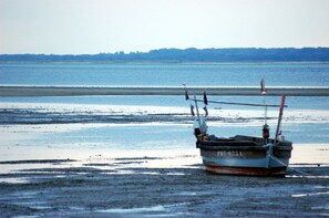 ชายหาด