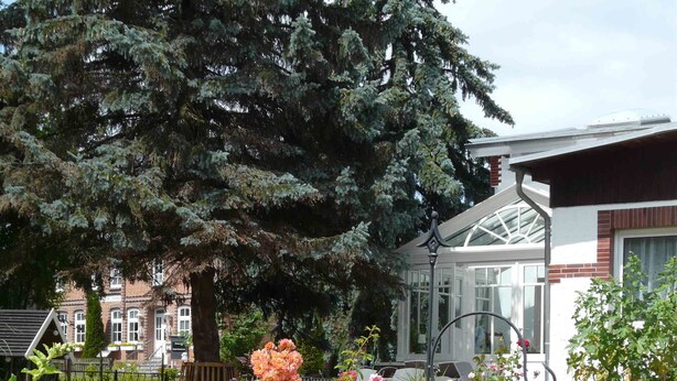 A garden with a paved walkway, various flowering plants, and a large tree. - Pension Zur Kirchsee (Insel Poel)