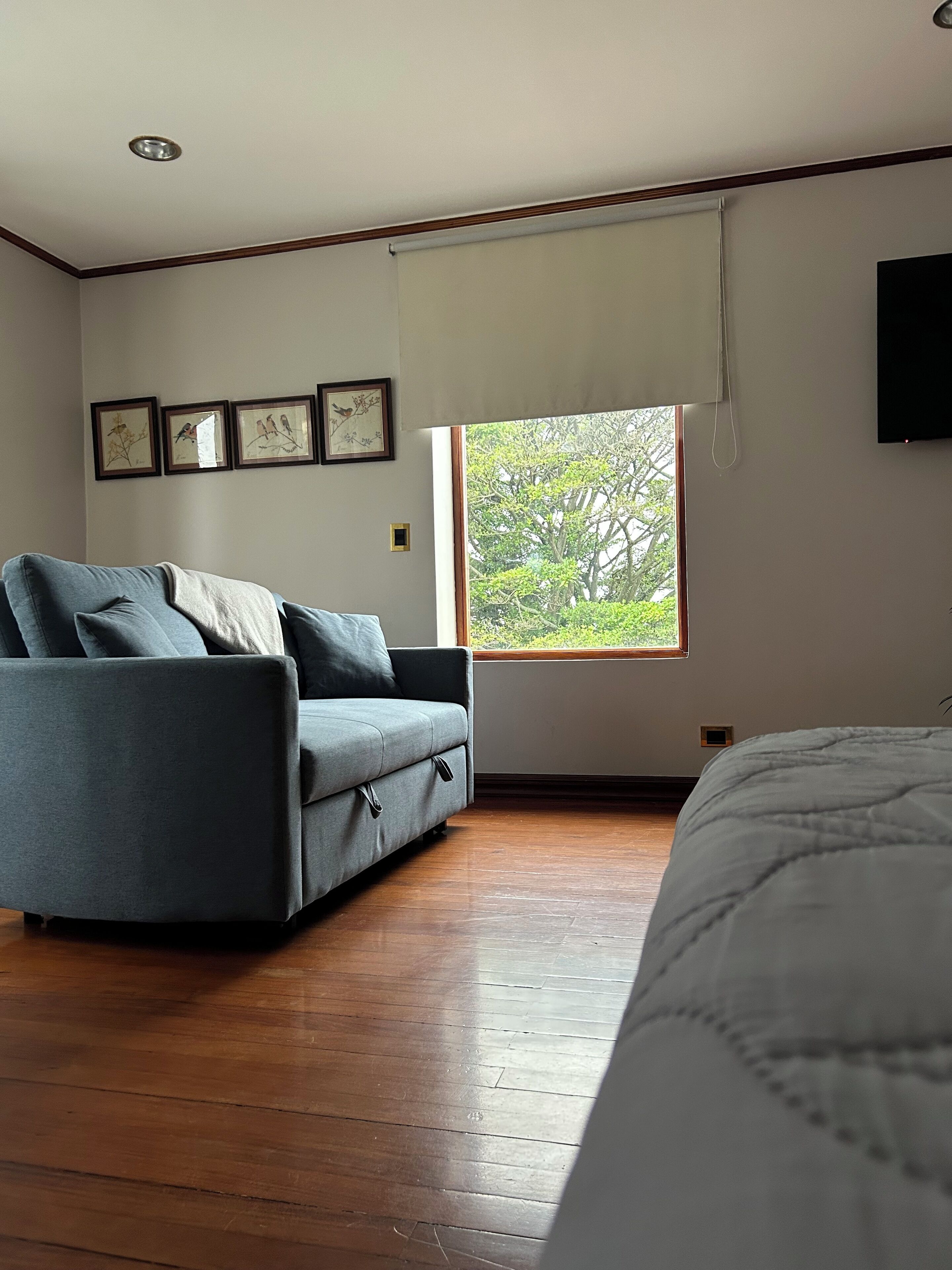 Photo - Casa Familiar la Tortuga