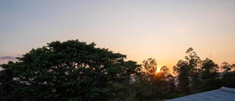 Un atardecer con árboles y el techo de un edificio.