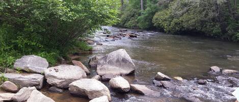 A river with rocks and dense greenery.