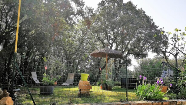Un jardín con cerca de alambre, un parasol de paja y diferentes macetas con plantas.