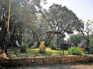 Un jardín con cerca de alambre, un parasol de paja y diferentes macetas con plantas.