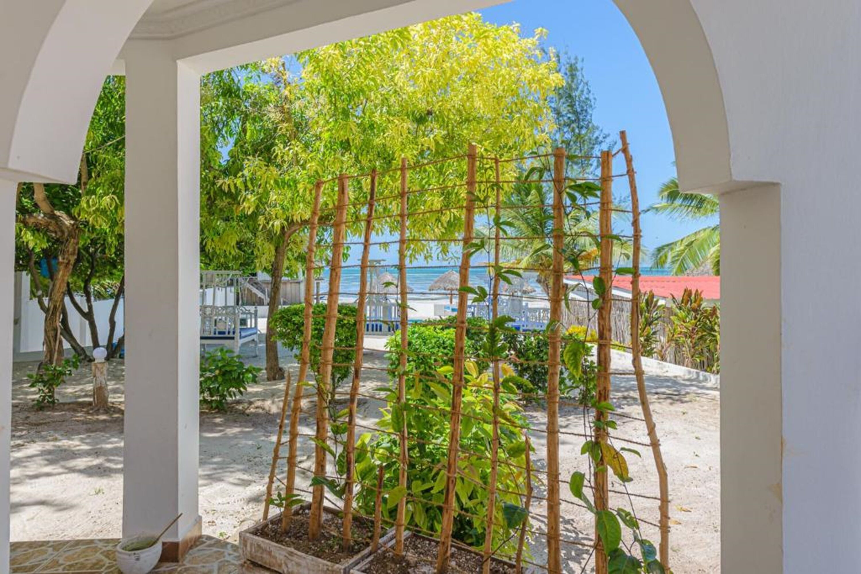 double room, garden view | garden view