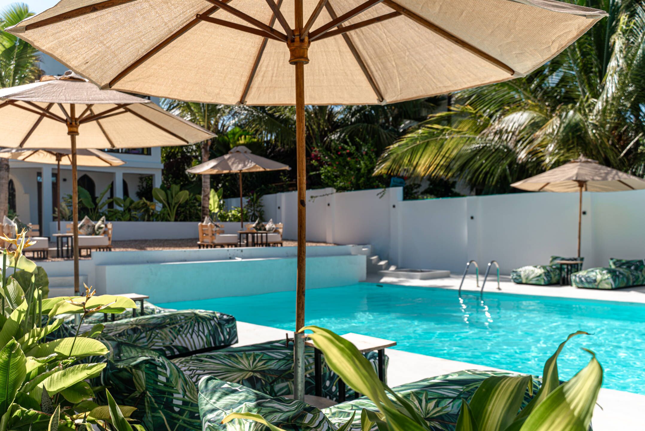 A pool area with lounge chairs and umbrellas, surrounded by palm trees and a white wall.
