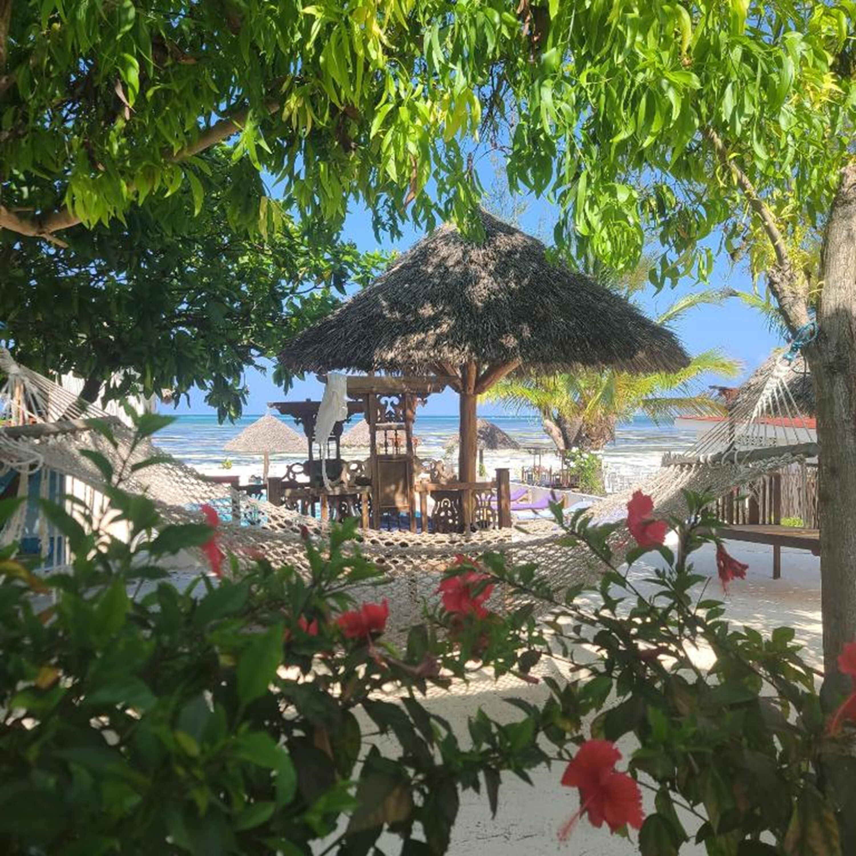 double room, garden view | garden view