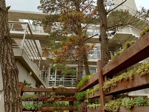 Exterior - Casiopea (Mar de Las Pampas)