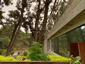 A modern building with large windows, surrounded by trees and a garden with plants and a wooden bench. - Casiopea (Mar de Las Pampas)
