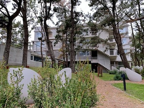 Garden - Casiopea (Mar de Las Pampas)