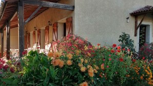 Un edificio con un patio cubierto, un jardín con diversas flores y un cielo despejado.