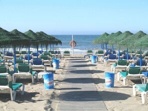 Serviettes de plage