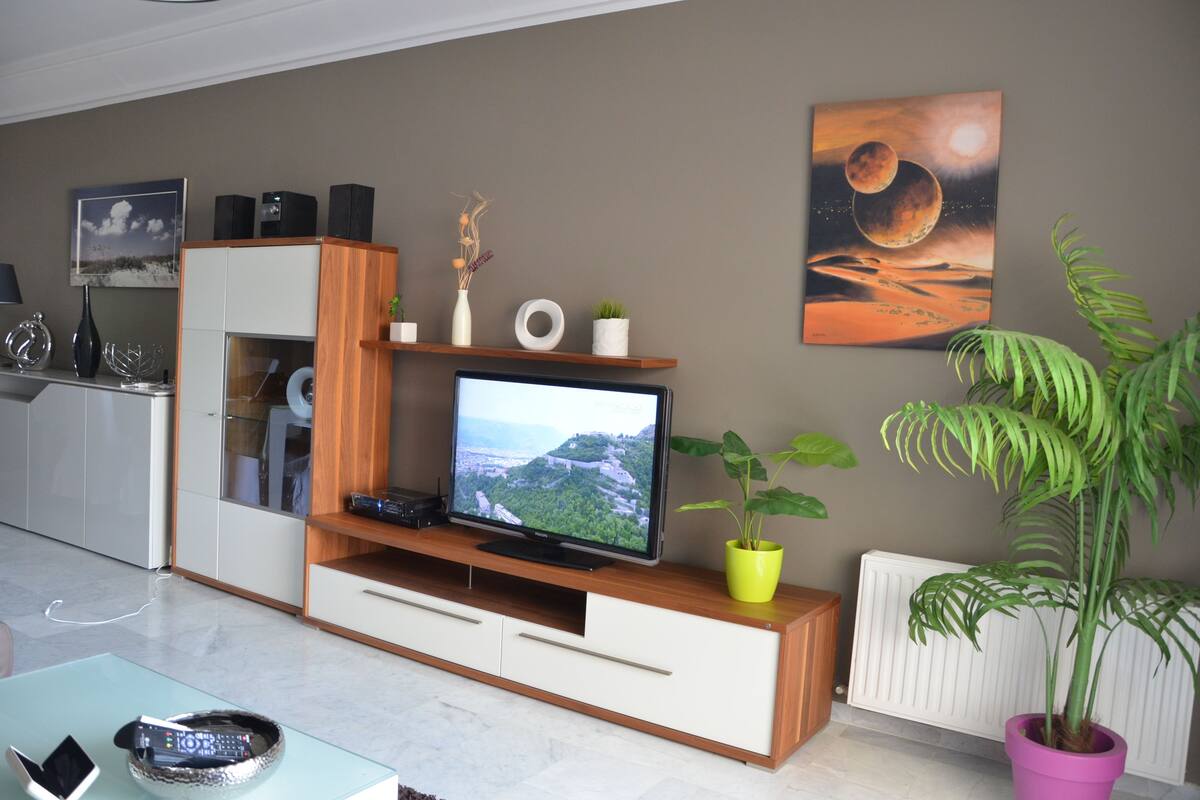 Een moderne woonkamer met een flatscreen televisie, een houten tv-meubel en een plant in pot.