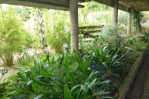 Ein überdachter Gartenbereich mit verschiedenen Pflanzen und einer Holzbank.