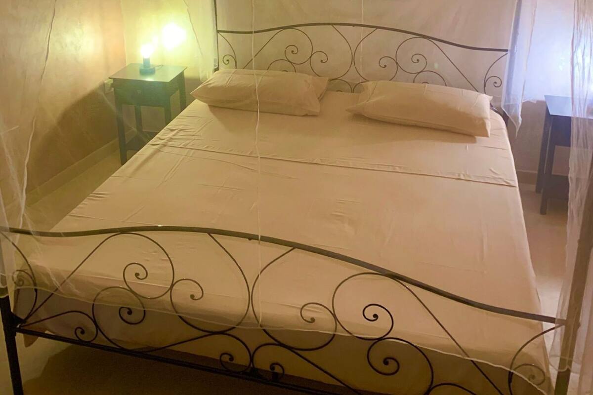 A bed with a metal frame and a canopy. There is a nightstand with a lamp beside the bed.
