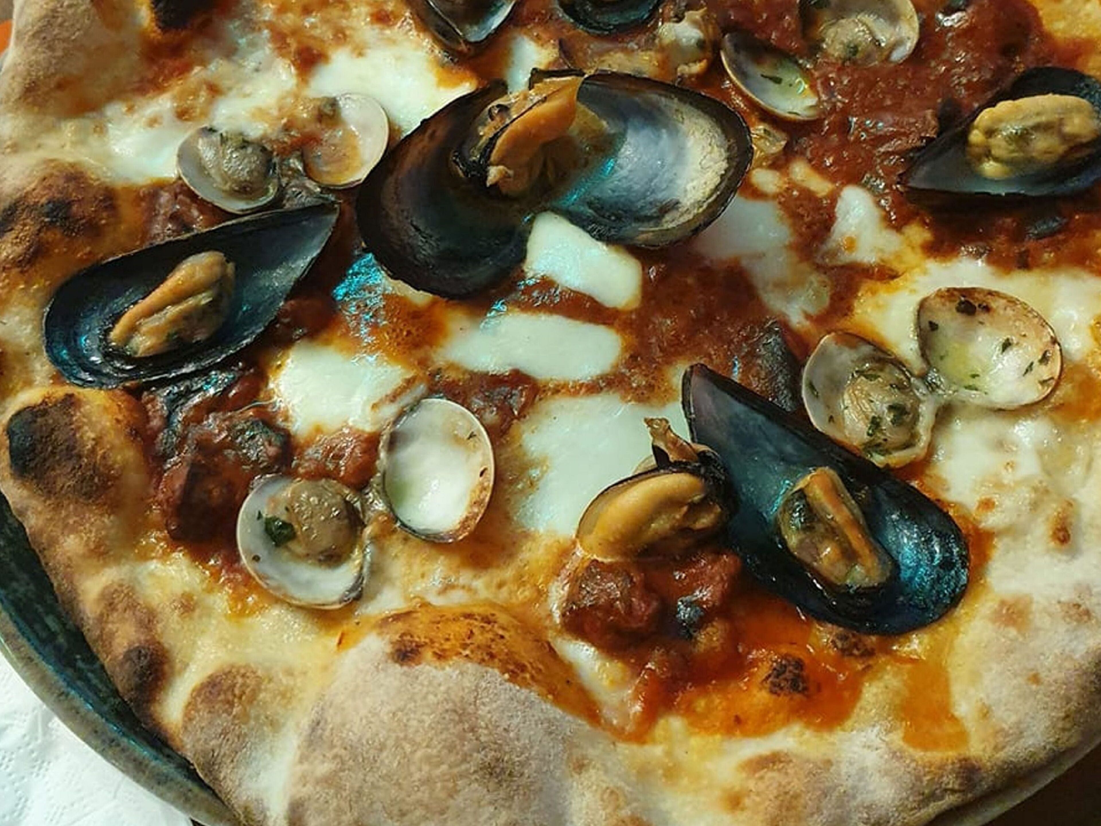 A pizza with clams on top.