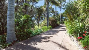 Un sendero bordeado por diversas plantas y árboles tropicales, que atraviesa un exuberante jardín.