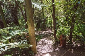 Property grounds - Palm Beach Lodge (Palm Beach)