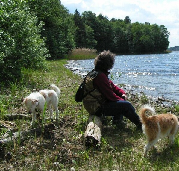Animaux de compagnie acceptés