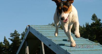 Forsthaus Metzelthin - Urlaub mit Hund
