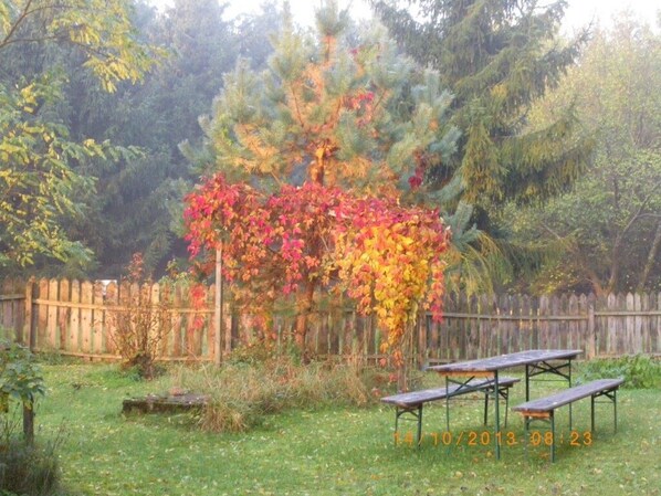 A garden with a wooden fence, a picnic table, and a tree with autumn leaves.