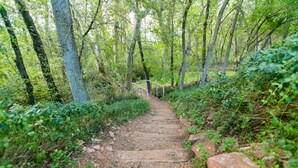 Trilha na floresta com passarela e grades de madeira.