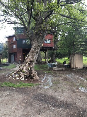 Una baita rustica con una casetta sull'albero, circondata da una zona boschiva con un sentiero sterrato che conduce a un tavolo da picnic e un piccolo capanno.