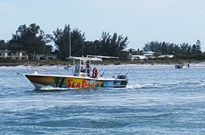 Unclassified image, 2 of 39, button