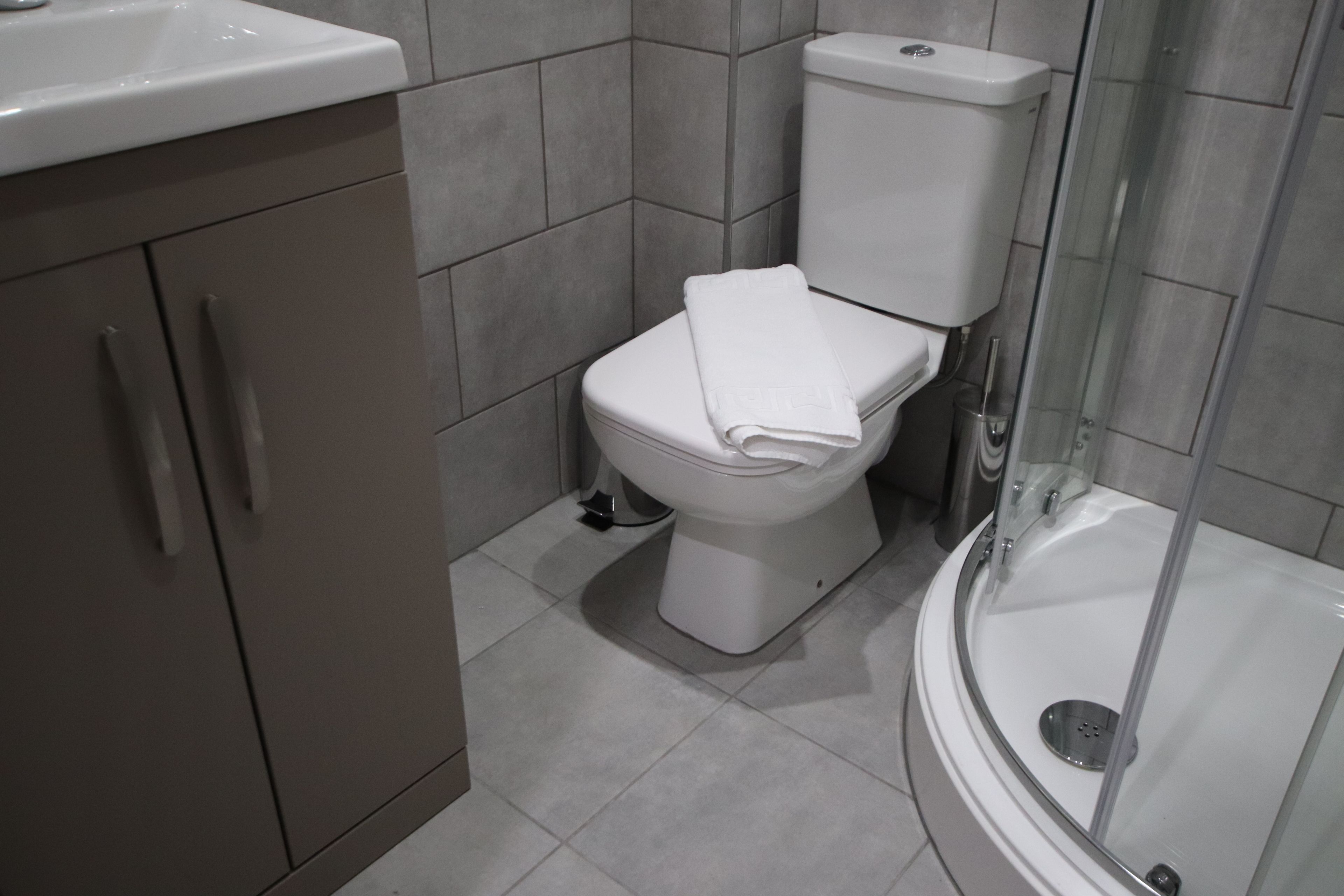 A modern bathroom with a toilet, a sink, and a glass-enclosed shower.