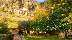 A stone pathway leading through a lush garden with a backdrop of rocky cliffs.