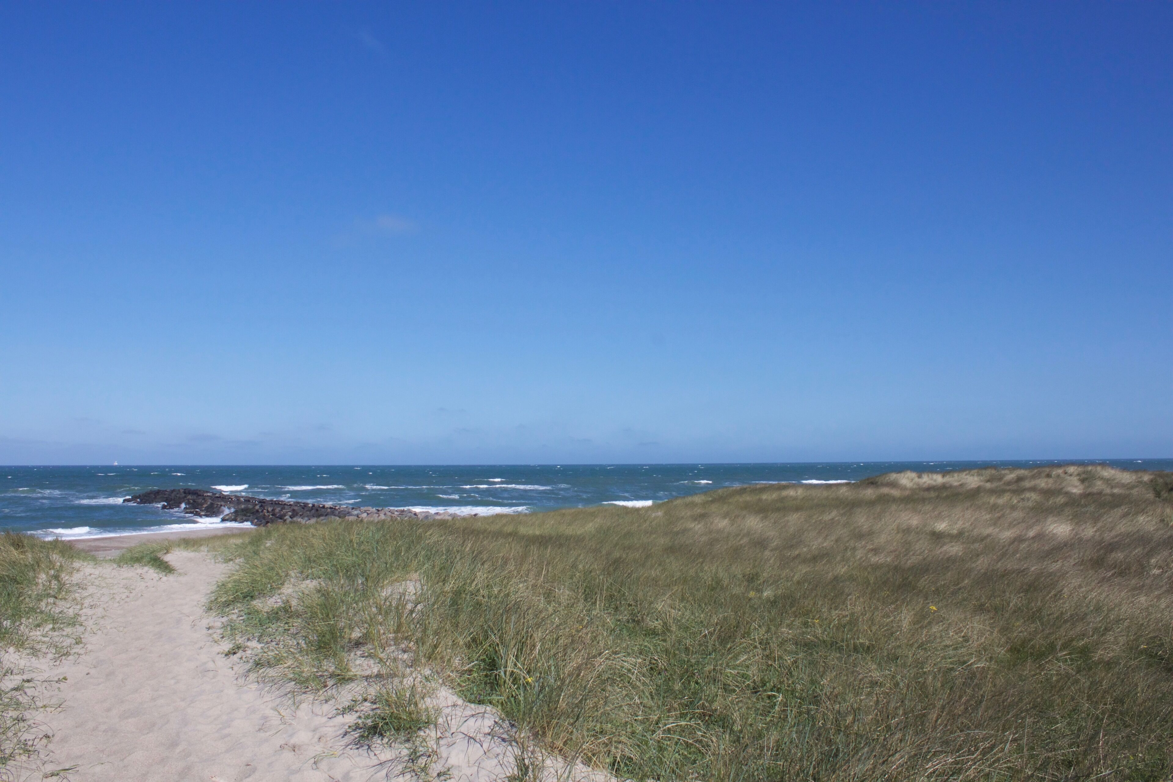 Un sentier sablonneux menant à l’océan, bordé de dunes et de formations rocheuses.