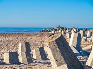 A la platja i gandules de platja 